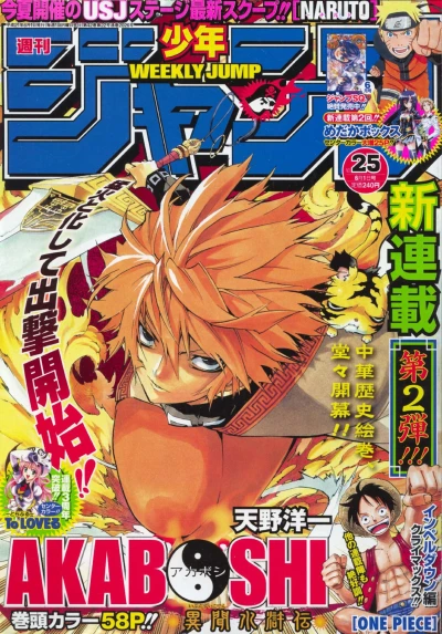 Cover of No. 25, 2009