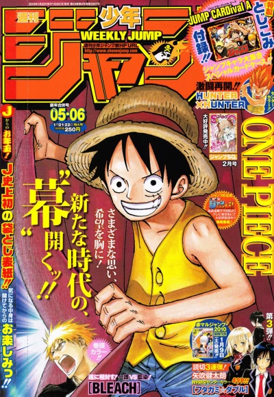 Cover of No. 5-6, 2010