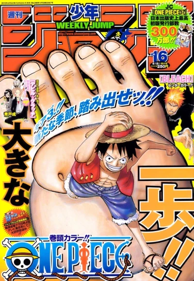 Cover of No. 16, 2010