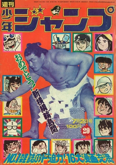 Cover of No. 29, 1973