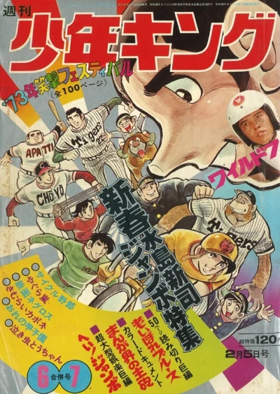 Cover of No. 6-7, 1973