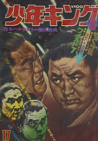 Cover of No. 17, 1973