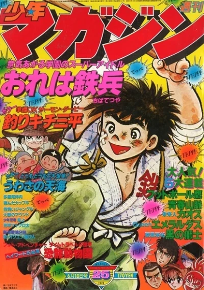 Cover of No. 25, 1978