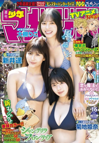 Cover of No. 16, 2021