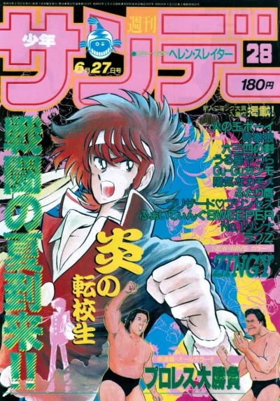 Cover of No. 28, 1984