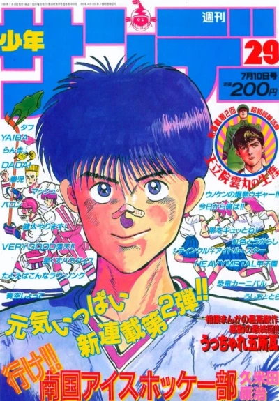 Cover of No. 29, 1991