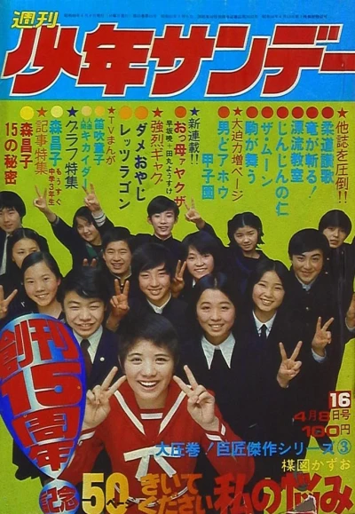 Cover of No. 16, 1973