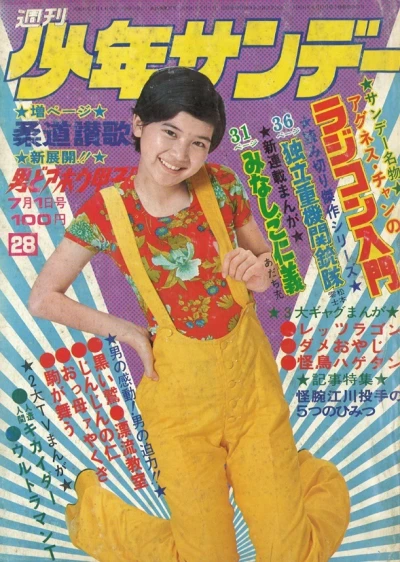 Cover of No. 28, 1973