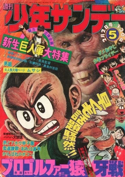 Cover of No. 5, 1975