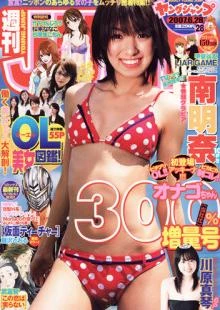 Cover of No. 28, 2007