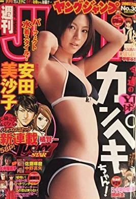 Cover of No. 30, 2007