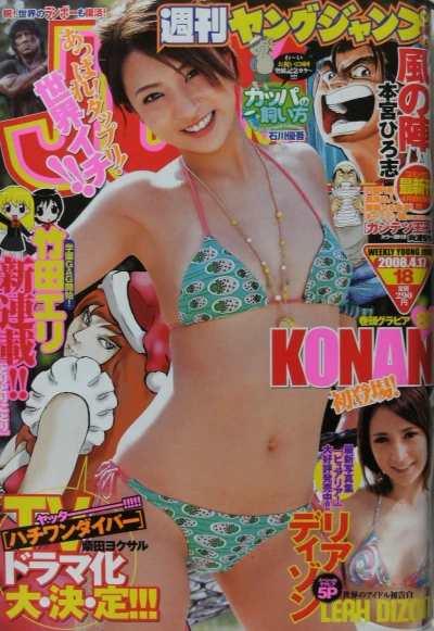 Cover of No. 18, 2008