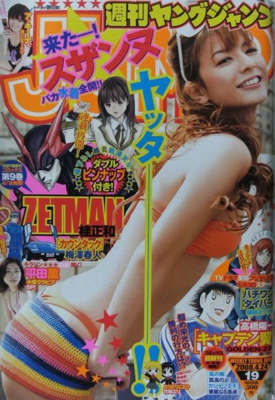 Cover of No. 19, 2008