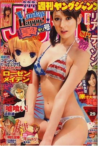 Cover of No. 29, 2008
