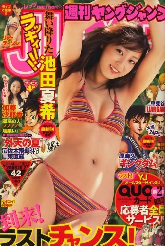 Cover of No. 42, 2008