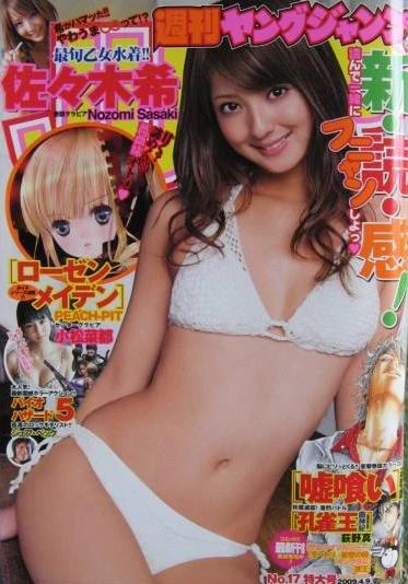 Cover of No. 17, 2009