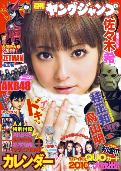 Cover of No. 4-5, 2010