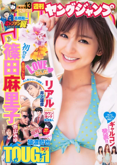 Cover of No. 13, 2010