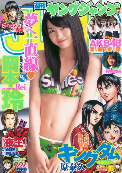 Cover of No. 16, 2010