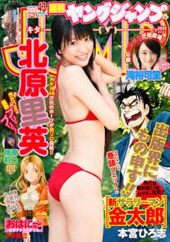 Cover of No. 43, 2010