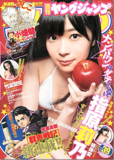 Cover of No. 39, 2013