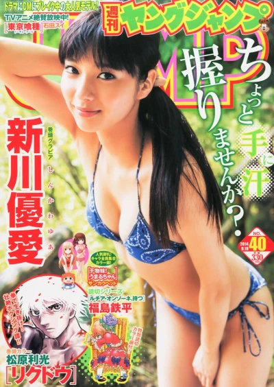 Cover of No. 40, 2014