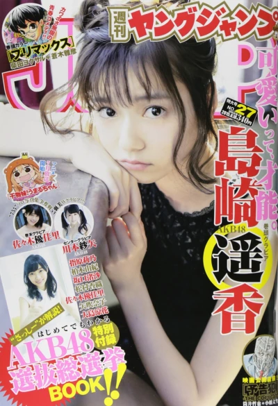 Cover of No. 27, 2015