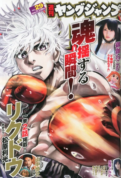 Cover of No. 29, 2015