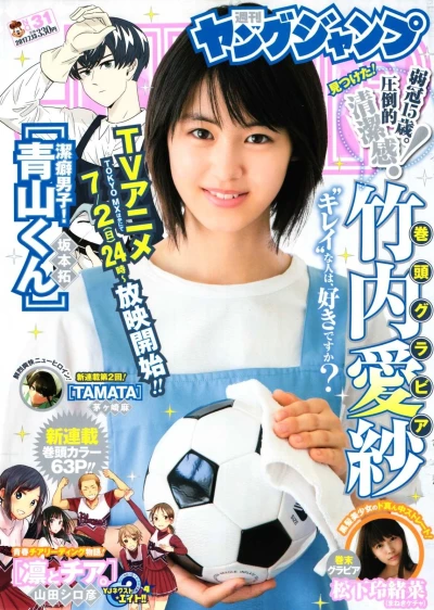Cover of No. 31, 2017