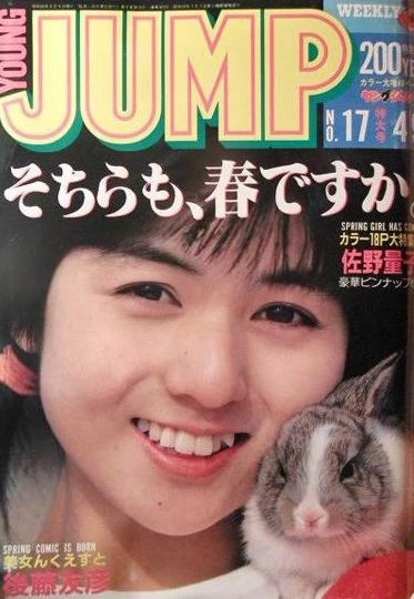 Cover of No. 17, 1987