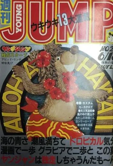 Cover of No. 27, 1981