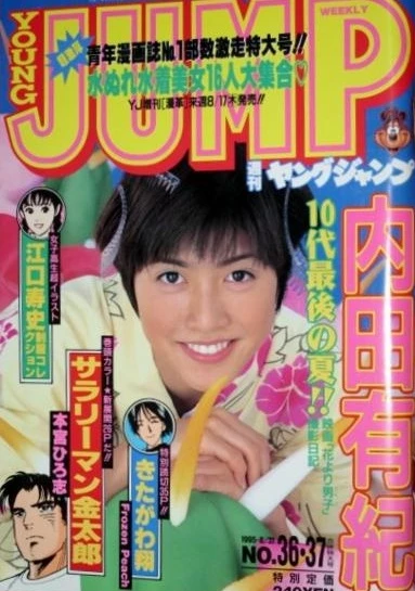 Cover of No. 36-37, 1995