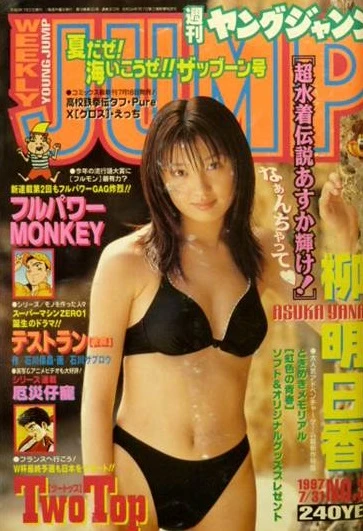 Cover of No. 33, 1997