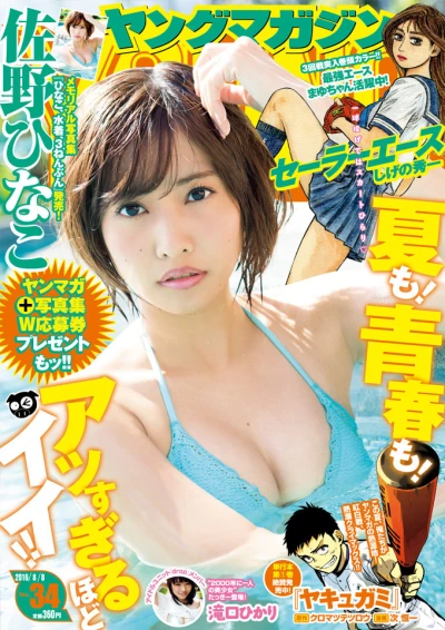 Cover of No. 34, 2016