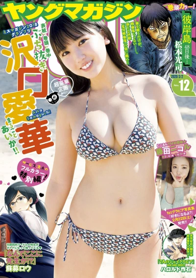 Cover of No. 12, 2020