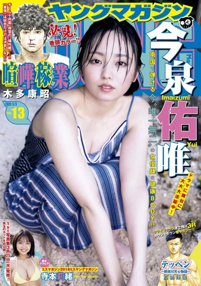 Cover of No. 13, 2020