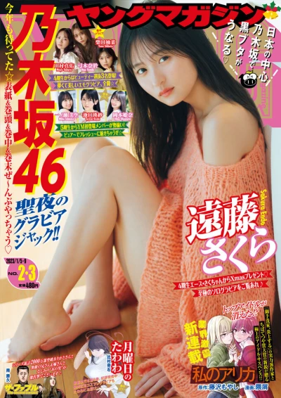 Cover of No. 2-3, 2023