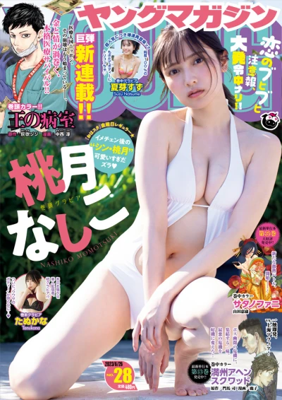 Cover of No. 28, 2023