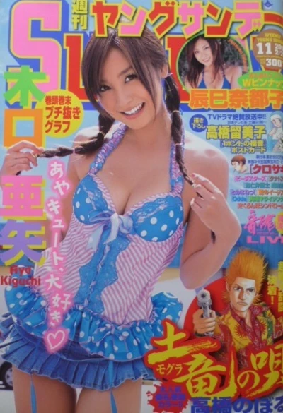 Cover of No. 11, 2008