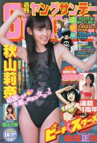 Cover of No. 16, 2008