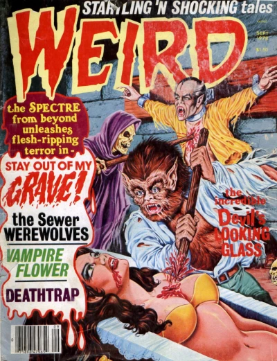 Cover of Issue #11.03