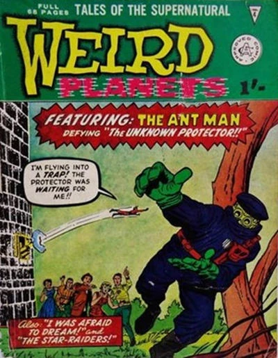 Cover of The Unknown Protector