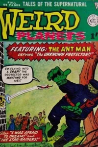 The Unknown Protector