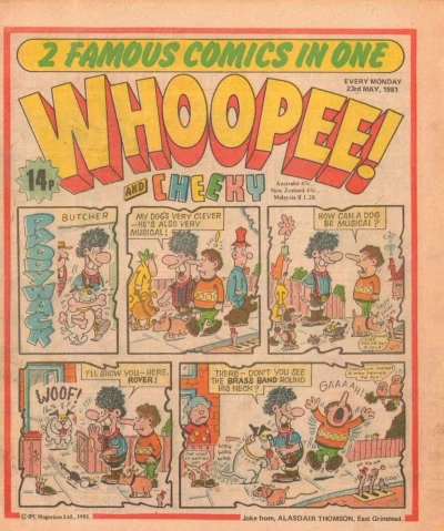 Cover of Issue #810523