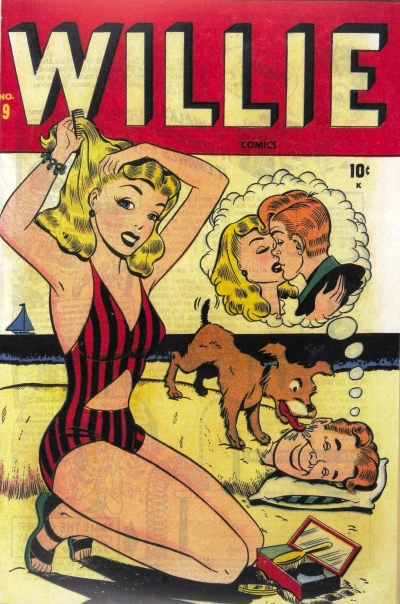 Cover of Washing Willie's Windows!