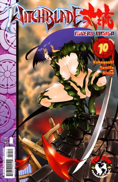 Cover of The Final Awakening