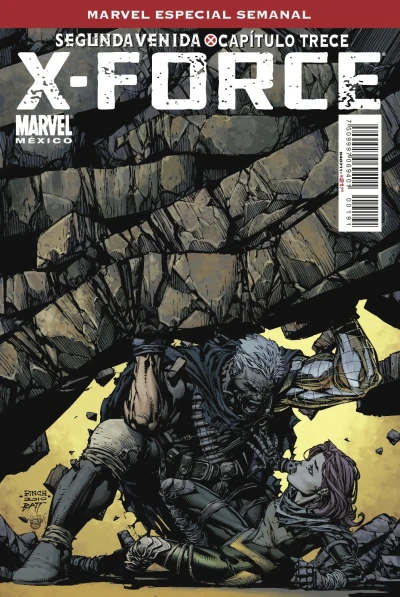 Cover of Issue #13