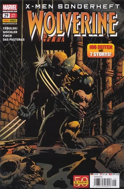 Cover of Issue #29