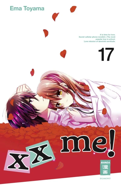 Cover of Vol. 17