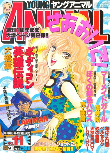 Cover of Issue #199311